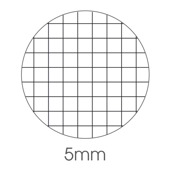 Quaderno A4 Travel Fantasia 40+2 Fogli – BM