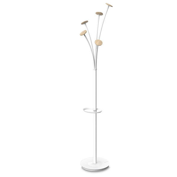 APPENDIABITI ALBA FESTIVAL 5 POSTI