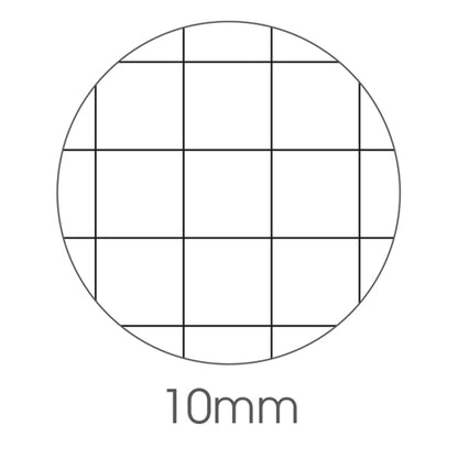 Quaderno Color Basic A4 80 gr 40 Fogli Copertina 250 gr UV Conf. 10 pz 7 Rigature BM