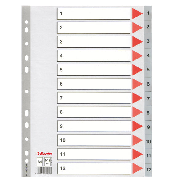 ARCHIVIAZIONE - COD 100114- SEPARATORE  PPL GRIGIO- A4