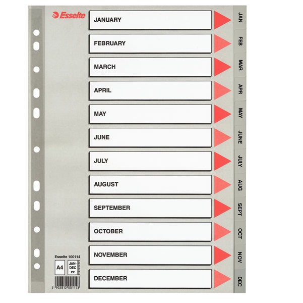 ARCHIVIAZIONE - COD 100114- SEPARATORE  PPL GRIGIO- A4