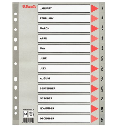 ARCHIVIAZIONE - COD 100114- SEPARATORE  PPL GRIGIO- A4