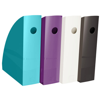 Portariviste Mag-Cube Titane, 26,6 x 8,2 x 30,5 cm, set da 4 colori assortiti – Exacompta