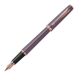 Penna stilografica Meridian GT punta M con astuccio regalo – Parker