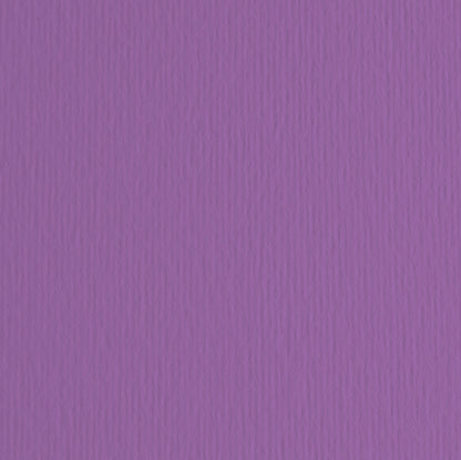 Cartoncino Elle Erre 70x100 cm 220 gr Doppia Superficie 25 Colori Conf. 10 Fogli per Belle Arti - Fabriano