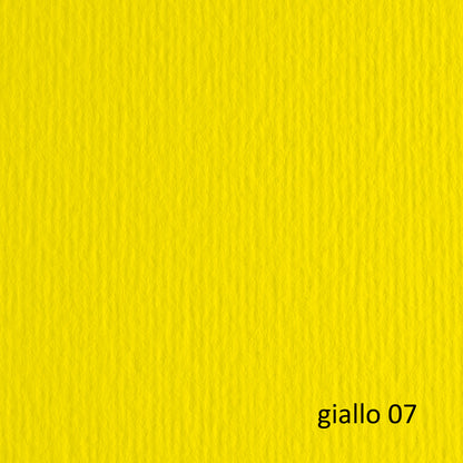 Cartoncino Elle Erre 70x100 cm 220 gr Doppia Superficie 25 Colori Conf. 10 Fogli per Belle Arti - Fabriano