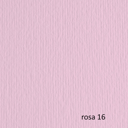 Cartoncino Elle Erre 70x100 cm 220 gr Doppia Superficie 25 Colori Conf. 10 Fogli per Belle Arti - Fabriano
