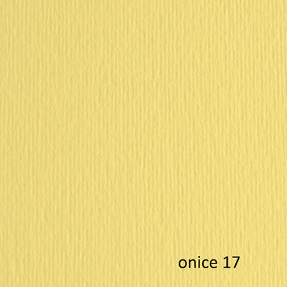 Cartoncino Elle Erre 70x100 cm 220 gr Doppia Superficie 25 Colori Conf. 10 Fogli per Belle Arti - Fabriano