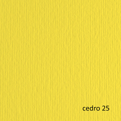 Cartoncino Elle Erre 70x100 cm 220 gr Doppia Superficie 25 Colori Conf. 10 Fogli per Belle Arti - Fabriano