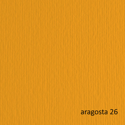 Cartoncino Elle Erre 70x100 cm 220 gr Doppia Superficie 25 Colori Conf. 10 Fogli per Belle Arti - Fabriano