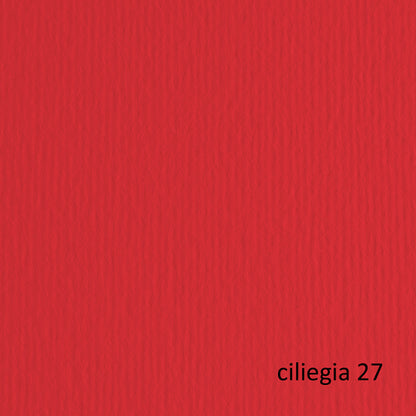 Cartoncino Elle Erre 70x100 cm 220 gr Doppia Superficie 25 Colori Conf. 10 Fogli per Belle Arti - Fabriano