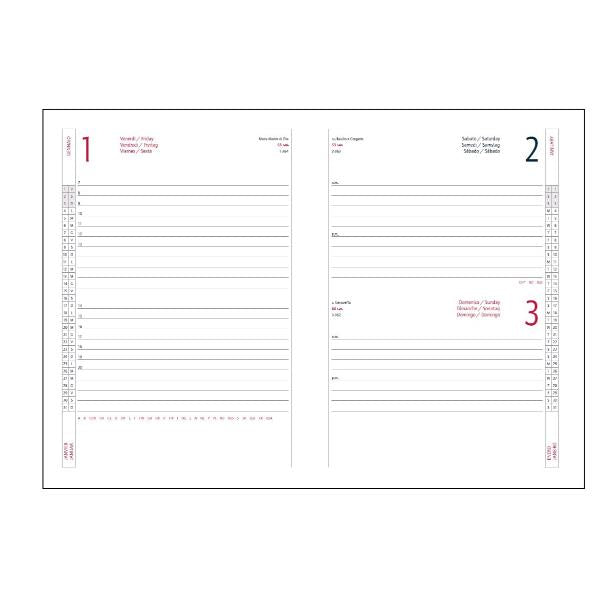 AGENDE- COD 7136AF34- INTEMPO AGENDA GIORNALIERA ALFA 15x21