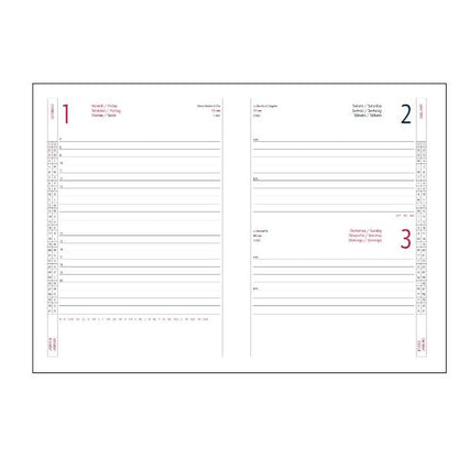 AGENDE- COD 7136AF34- INTEMPO AGENDA GIORNALIERA ALFA 15x21