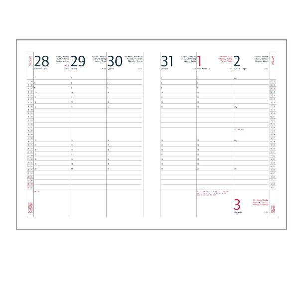 AGENDE- COD 7157AF28- AGENDA INTEMPO SETTIMANALE ALFA 17x24