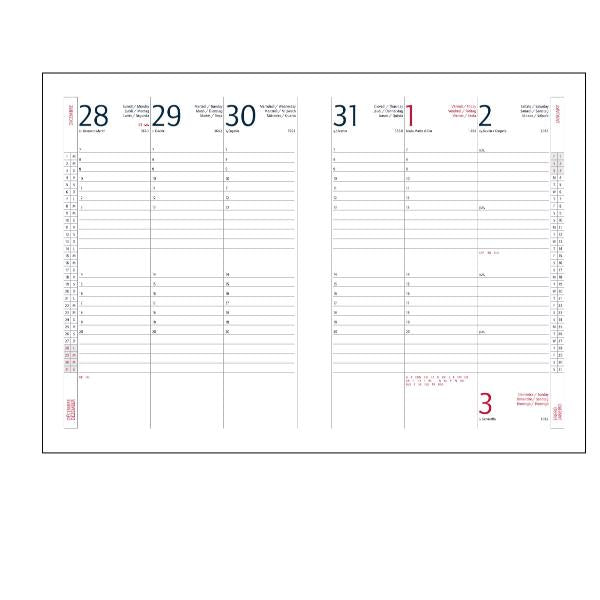 AGENDE- COD 7157DE30- AGENDA INTEMPO SETTIMANALE 17x24 DELTA