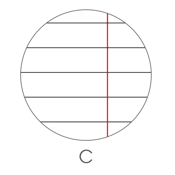 Quaderno A4 Travel Fantasia 40+2 Fogli – BM