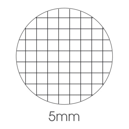 Quaderno A4 Travel Fantasia 40+2 Fogli – BM