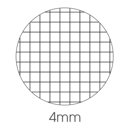 Quaderno A4 Travel Fantasia 40+2 Fogli – BM
