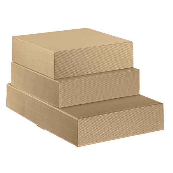 Scatola cantinetta per 2 bottiglie in cartone onda avana 34 x 18,5 x 9 cm – Scotton