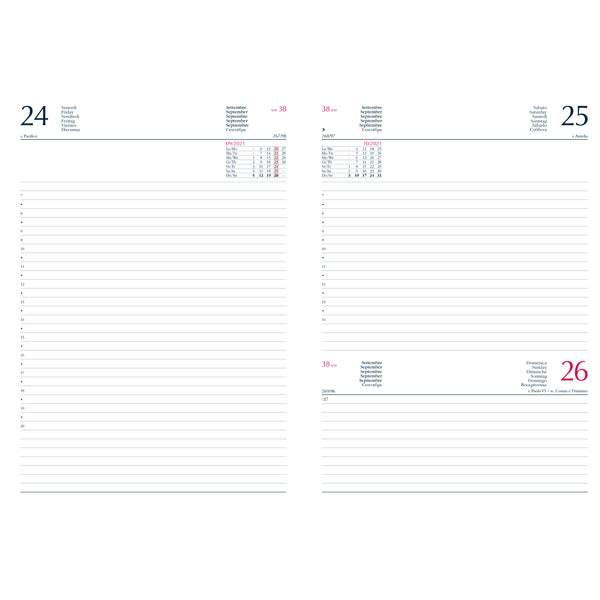 AGENDA GIORNALIERA 2026 17X24 COPERTINA IMBOTTITA