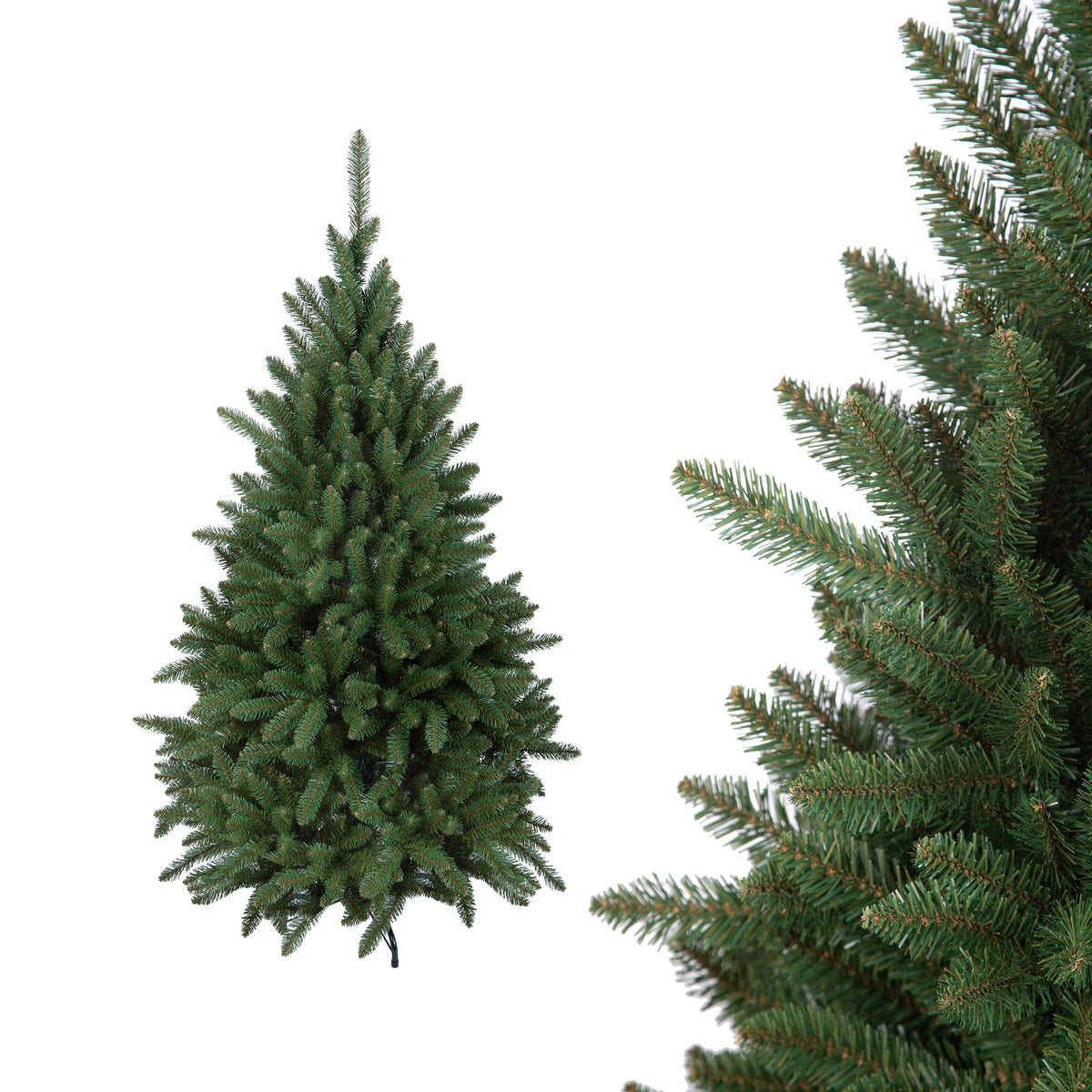 Abete appenino altezza 120 cm 543 tips